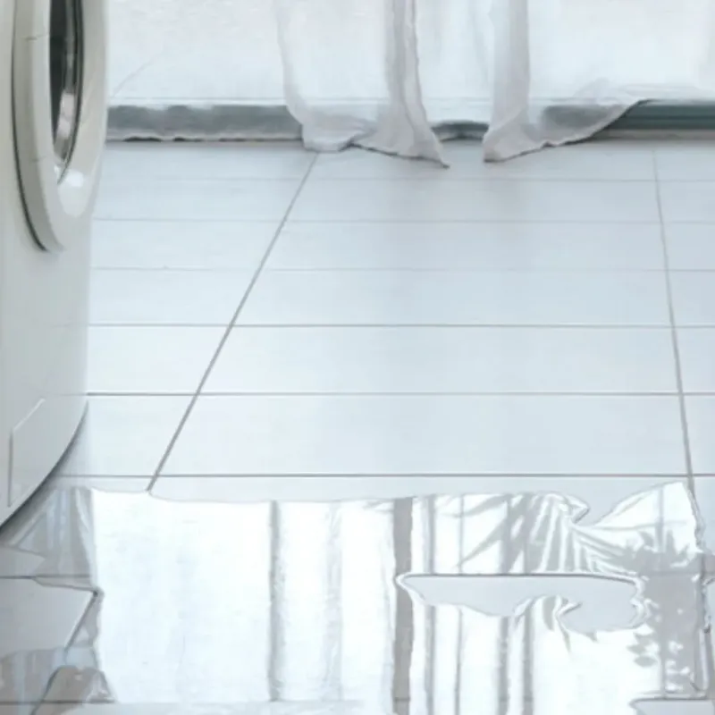 Appliance Leak Cleanup in DeKalb, IL