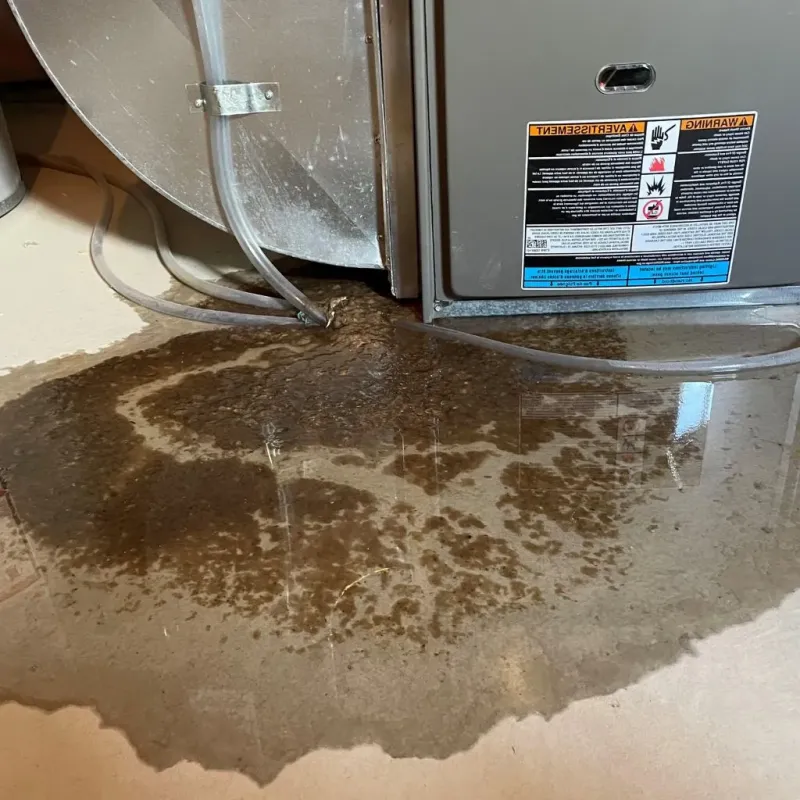 Pipe Burst and Leak Restoration in DeKalb, IL