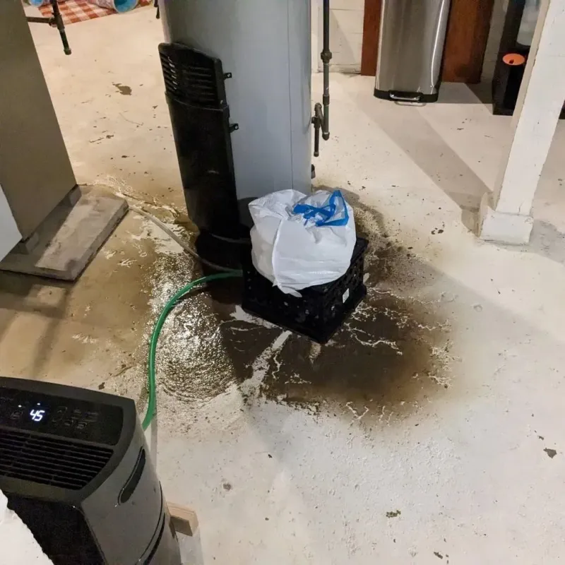 Sewage Backup Cleanup Service in DeKalb, IL